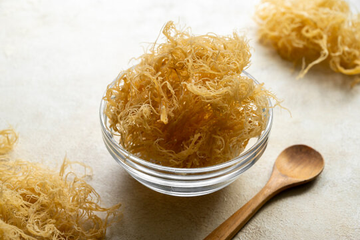 Is sea moss good for your hair? All the benefits and how to use it